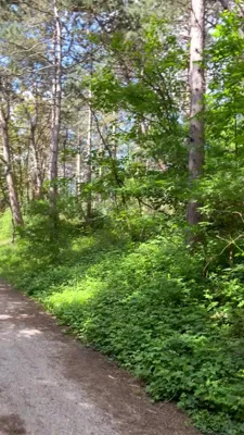 Long Run
