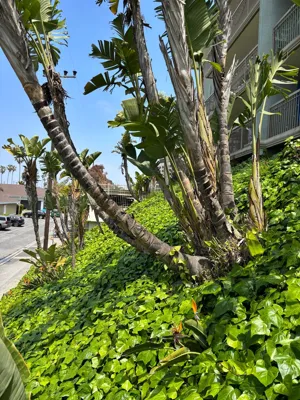 Hike - 2025-04-30 19:45