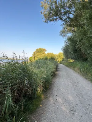 Day4 (boiled because of new jersey which is not breathable), second half cycled topless despite of hard sun