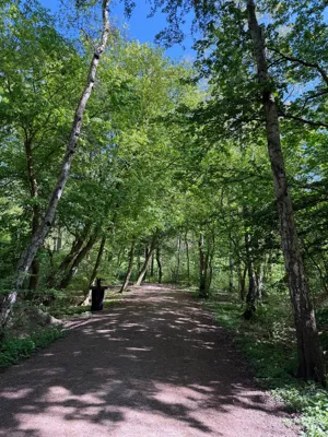 Long Run