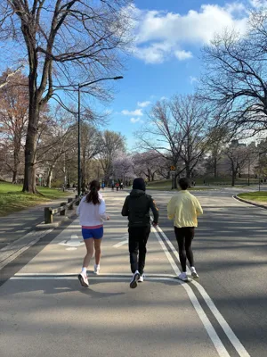 Afternoon Run