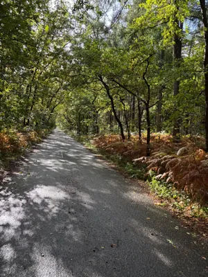 Long Ride