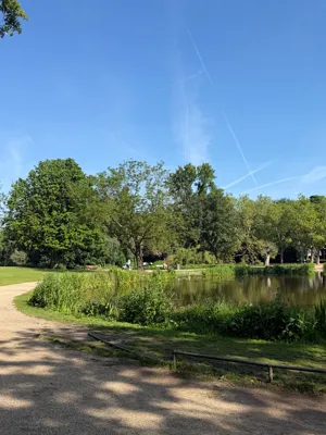 Morning Run