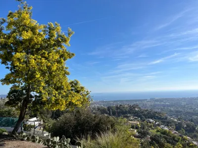 Long Hike
