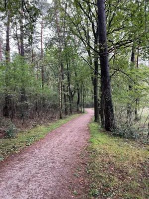 Long Run
