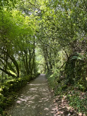 Long Hike