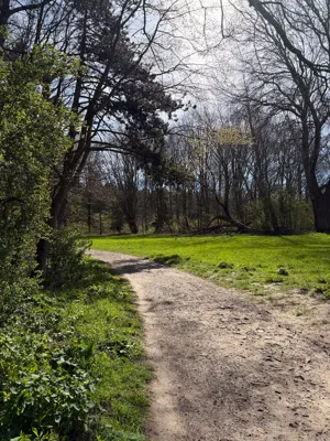 Long Run