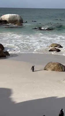 Recovery Run