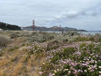 Long Run