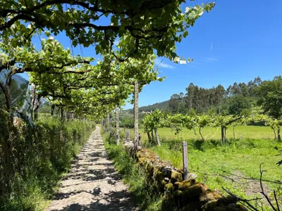Long Hike