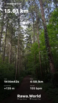 Morning Run