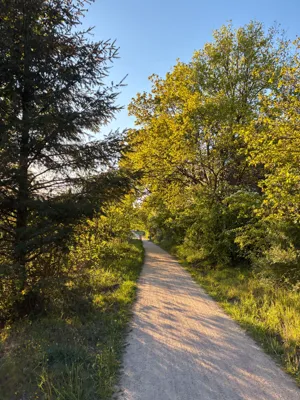 Recovery Run