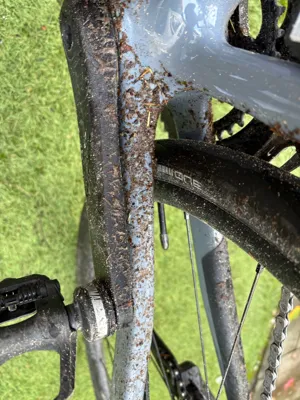 Recovery Ride