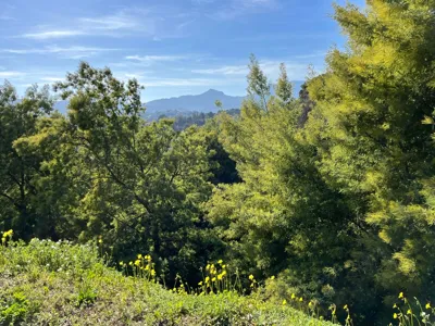 Long Hike