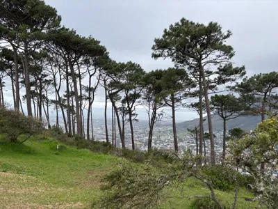 Long Hike