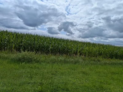 Recovery Ride