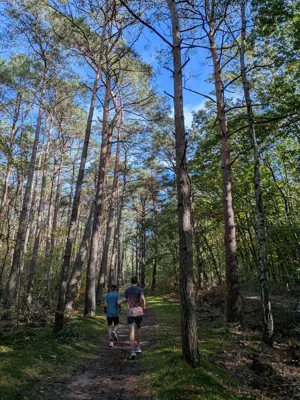 Recovery run