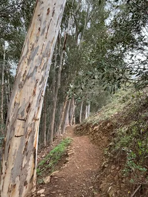 Long Hike