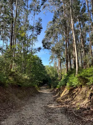 Long Hike