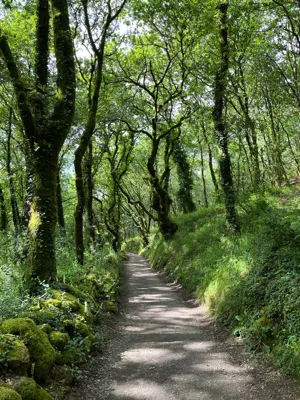 Long Hike