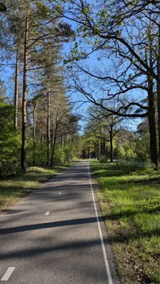 Recovery Ride