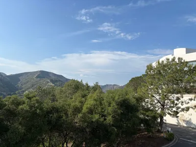 Recovery Run
