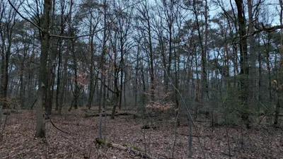 Hilversum Running