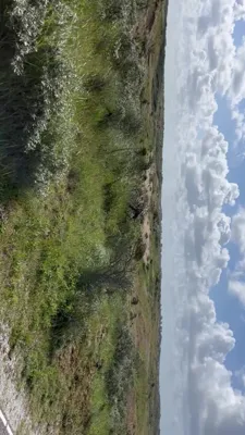 Long Run