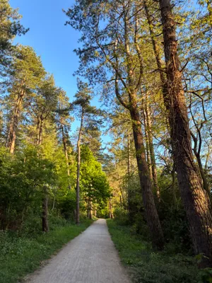 Recovery Run