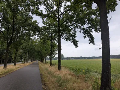 Long Ride