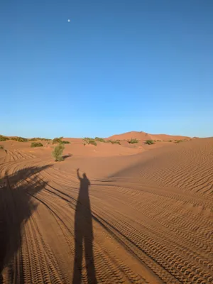Desert wibes