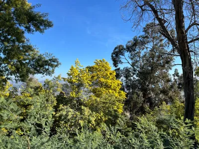 Long Hike