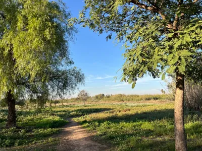Recovery Run