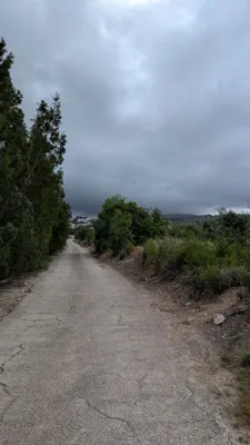 Recovery Run