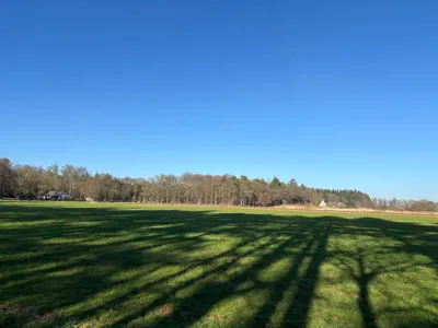 Sunny