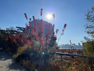 Recovery Hike