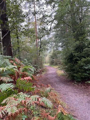 Long Run