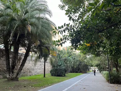 Recovery Run