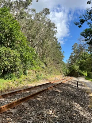 Long Hike