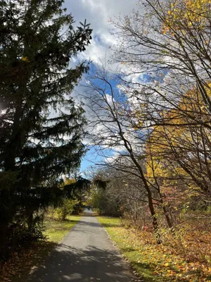 Hike - 2024-11-08 15:53
