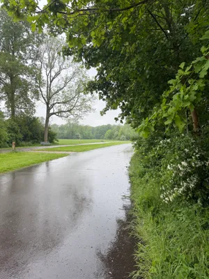 Morning Run