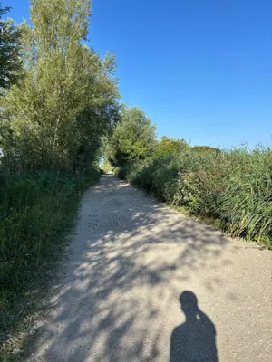 Day4 (boiled because of new jersey which is not breathable), second half cycled topless despite of hard sun