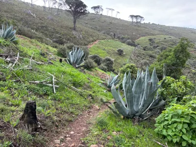 Long Hike