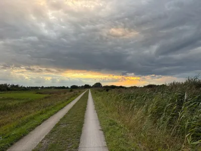 Recovery Ride