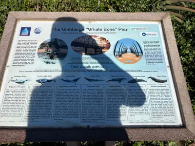 Hike - 2025-06-14 09:13