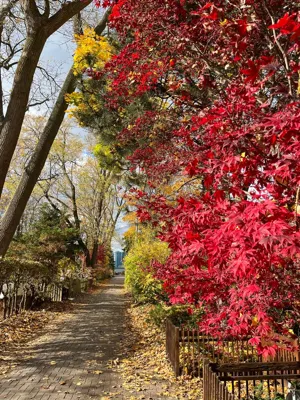 Hike - 2024-11-08 15:53