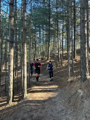 Long Run