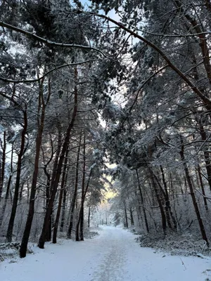 Hilversum Running