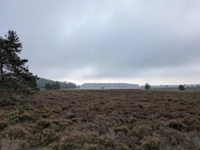 Long ride 98.7 km