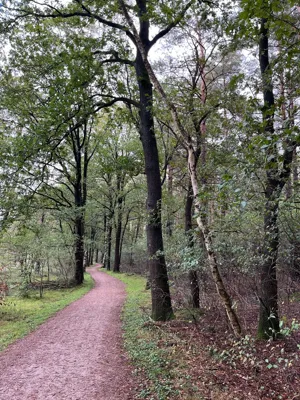 Long Run